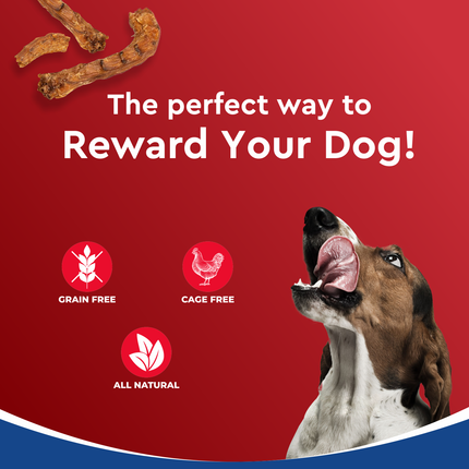 Drools Dog Treats Dehydrated Real Chicken Chews Necks 70g