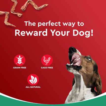 Drools Dog Treats Dehydrated Real Chicken Chews Wings 70g