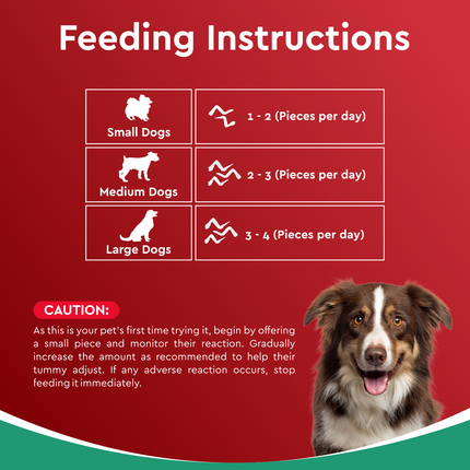 Drools Dog Treats Dehydrated Real Chicken Chews Wings 70g