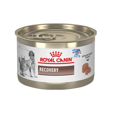Royal Canin Recovery Dogs And Cats (Tin)