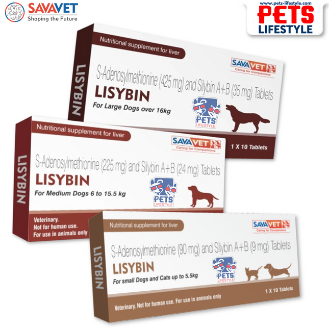 Savavet Lisybin Tablet Advanced Liver Support (1 X 10 Tablets)