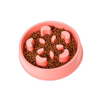 Slow Feeder Dog Bowl