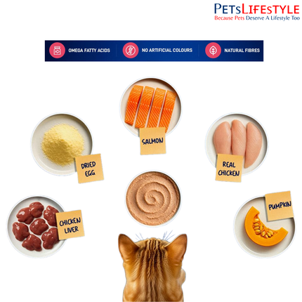 Drools Cat Mousse Wet Cat Food – Salmon Flavour 80g High Protein Smooth Texture Adult Cats 1+ Years