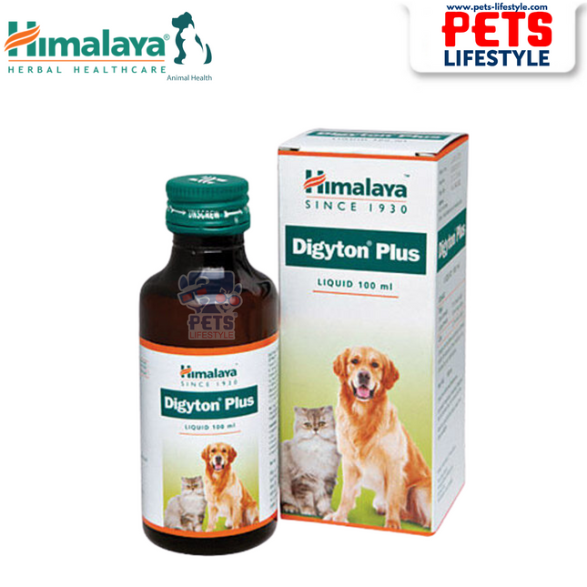 Digyton Plus 100ml Digestive Support Liquid for Adult Pets