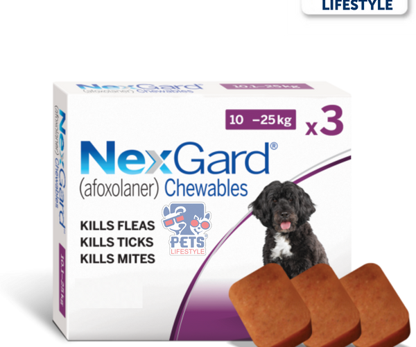 nexgard best dog medicine for ticks and fleas