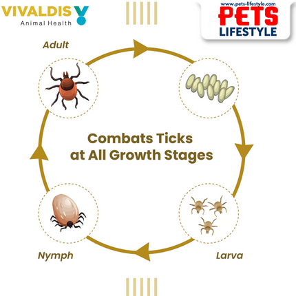 Vivaldis Vi-Fi Topical Fipronil Spray 0.25% – Fast-Acting Tick & Flea Control for Pets