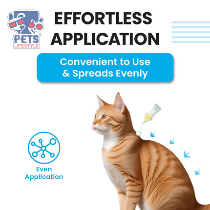 VIVALDIS VI-FI Forte Spot-On for Cats & Kittens – Anti-Flea & Tick Solution