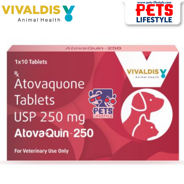 VIVALDIS AtovaQuin-250 (Atovaquone 250 mg) 1 X 10 Tablets