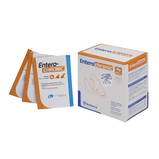 Vivaldis Entero Chronic Pre & Probiotics Gut Health Powder for Dogs and Cats 60 pouch in 1 box