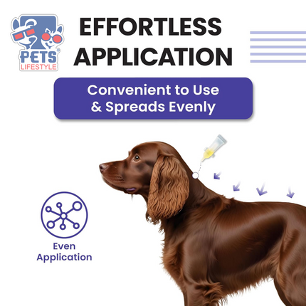 VIVALDIS VI-FI Forte Spot-On for Dogs (10–20 kg) Fleas, Ticks & Lice