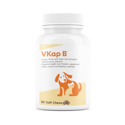 Vvaan VKap B for Dogs & Cats, 30 Tablets