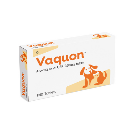 Vvaan Vaquon Atovaquone Tablets