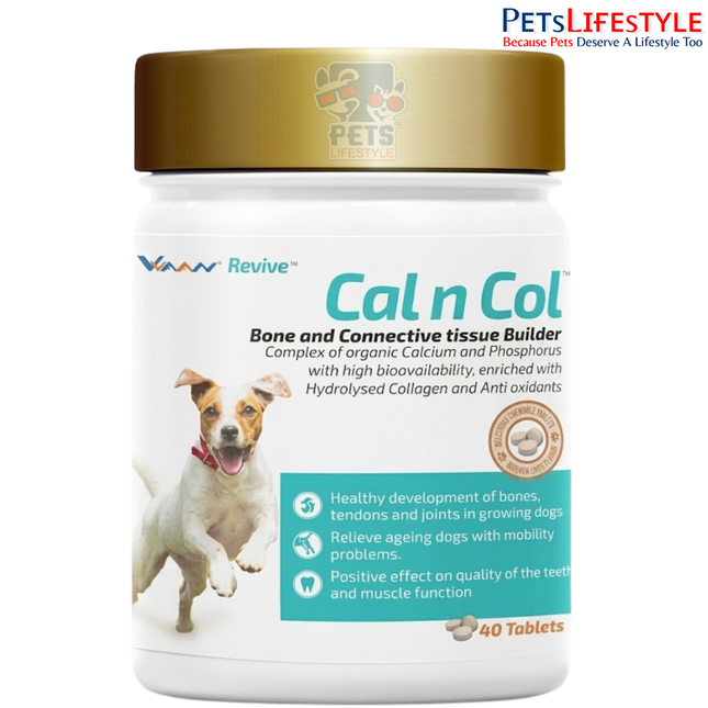 Vvaan Cal N Col Bone and Connective Tissue Builder Tablets