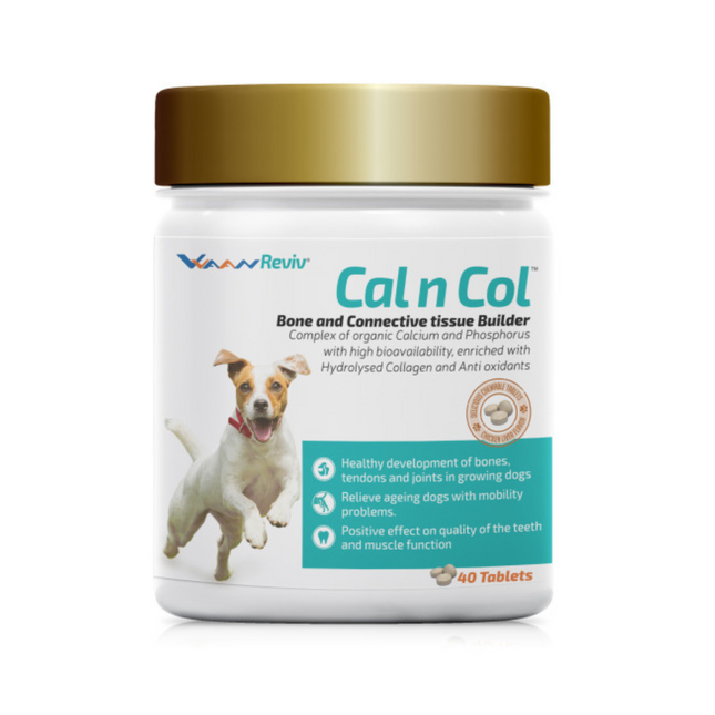 Vvaan Reviv Cal n Col Bone