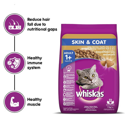 Whiskas Dry Cat Food for Adult Cats (1+ Years), For Healthy Skin & Coat