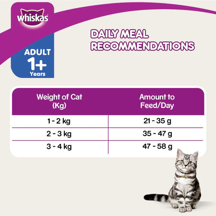 Whiskas Dry Cat Food for Adult Cats (1+ Years), For Healthy Skin & Coat