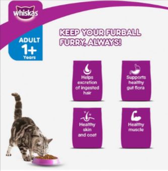 Whiskas Dry Cat Food for Adult Cats (1+ Years), For Healthy Skin & Coat