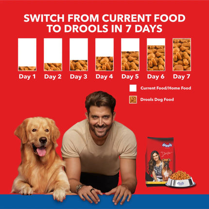 Drools Chicken and Egg Adult Dog Dry Food