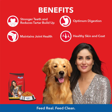 Drools Chicken and Egg Adult Dog Dry Food
