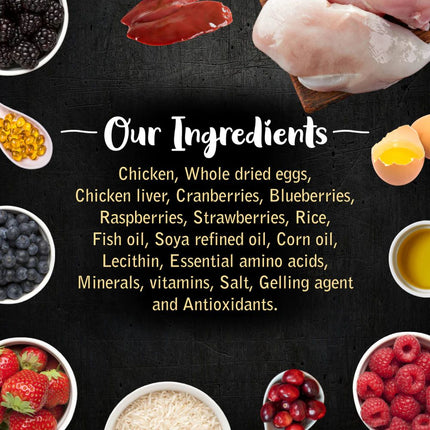 Drools Gourmet Bites Vikas Khanna Recipe Very Berry Chicken Puppy Wet Food