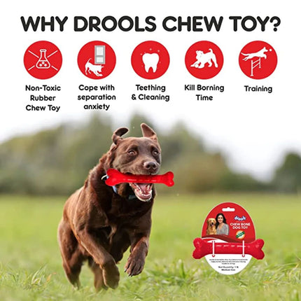 Drools Non Toxic Rubber Chew Bone Toy for Dogs