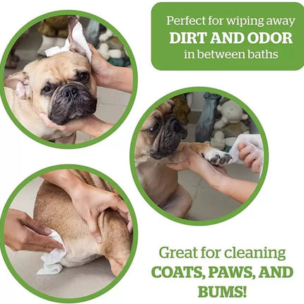 CORE CLEAN Pet Tushie Wipes for Dogs, Cats, Puppies & Kittens Pet Ear Eye Wipes  (Pack of 50)