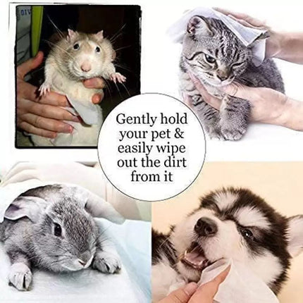 CORE CLEAN Pet Tushie Wipes for Dogs, Cats, Puppies & Kittens Pet Ear Eye Wipes  (Pack of 50)