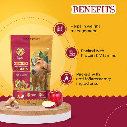 Dogsee Gigabites - Apple and Peanut Cookies for Dogs