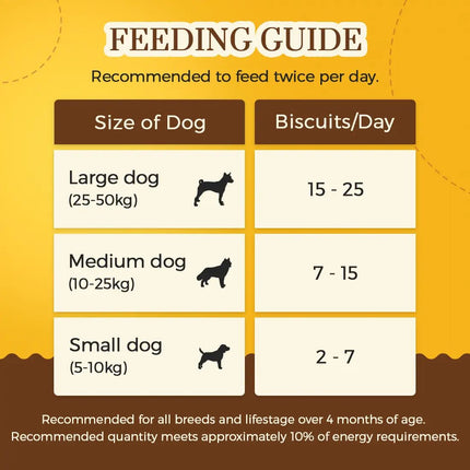 Dogsee Singles Coconut Medium: Long-lasting Dental Chew for Medium Dogs