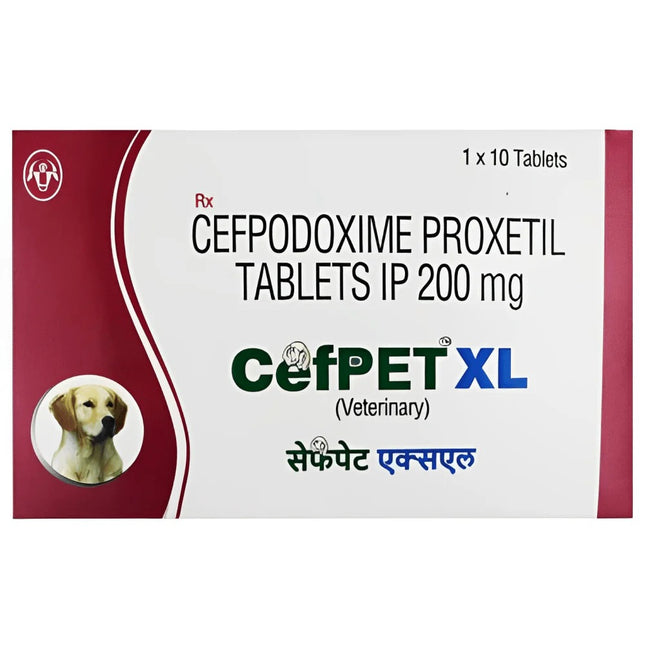 Cefpet XL 200mg (Cefpodoxime Proxetil) (10 Tablets)
