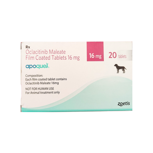 Buy Zoetis Apoquel for Dogs Online in India Pets Lifestyle