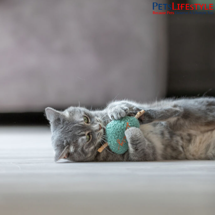 Trixie Matatabi Heart Cat Toy