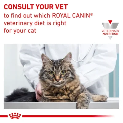 Royal Canin Veterinary Early Renal Cat Dry Food 400gm