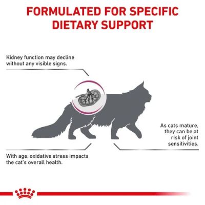 Royal Canin Veterinary Early Renal Cat Dry Food 400gm