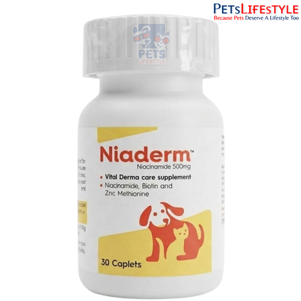 VVAAN NIADERM 500mg NIACINAMIDE TABLETS FOR DOGS & CATS