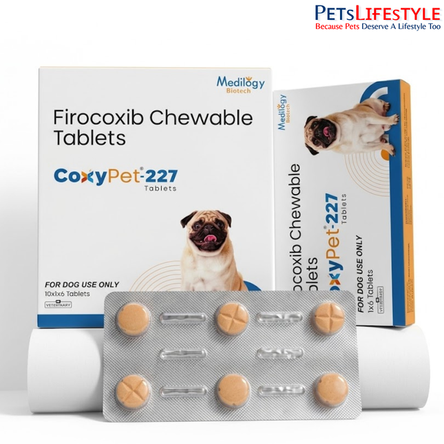 CoxyPet-227 Firocoxib Chewable Tablets