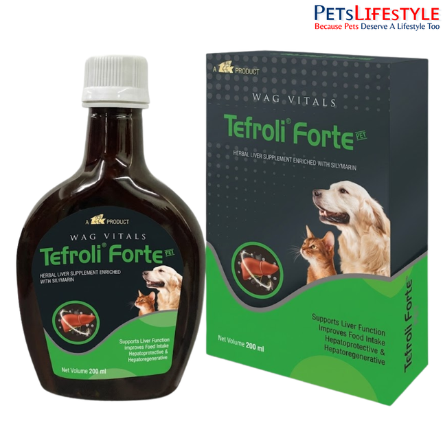 Ttk Tefroli Forte Herbal Liver Syrup (200ml)