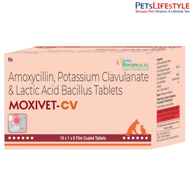 Moxivet-CV Tablets for Dogs & Cats (Amoxicillin + Potassium Clavulanate) | Broad-Spectrum Veterinary Antibiotic