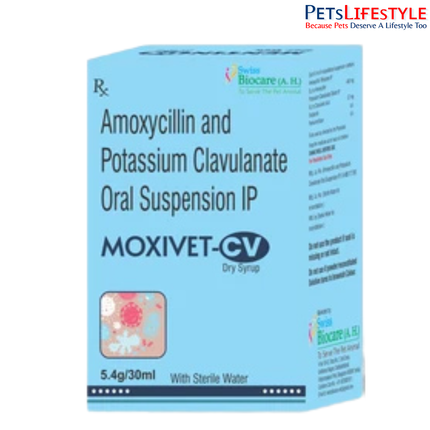 Moxivet-CV Dry Syrup for Dogs, Cats & Pet Birds  30 ml| Broad-Spectrum Antibiotic Suspension