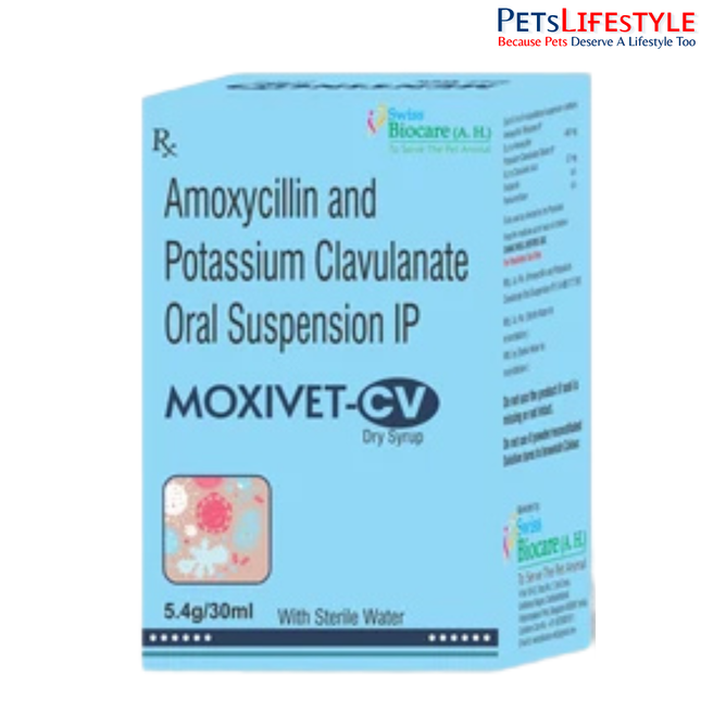 Moxivet-CV Dry Syrup for Dogs, Cats & Pet Birds  30 ml| Broad-Spectrum Antibiotic Suspension