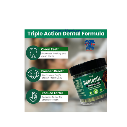 Gnawlers Richpet Active Denta Sticks 220 g (Seaweed Flavour)