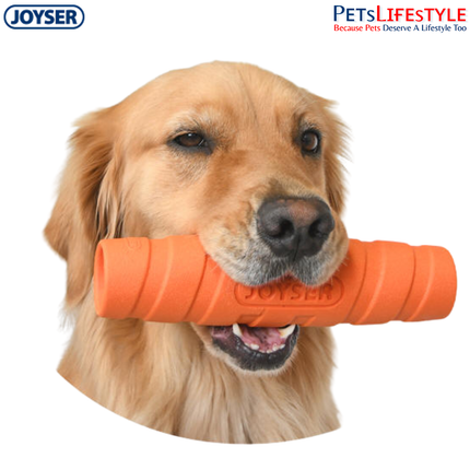 JOYSER Active Holestick Strong Chew Dog Toy with Squeaker – Orange (M/L)