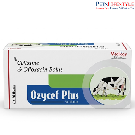 Ozycef Plus Bolus | Cefixime 1000 mg & Ofloxacin 1000 mg Bolus (1 x 6 Bolus)