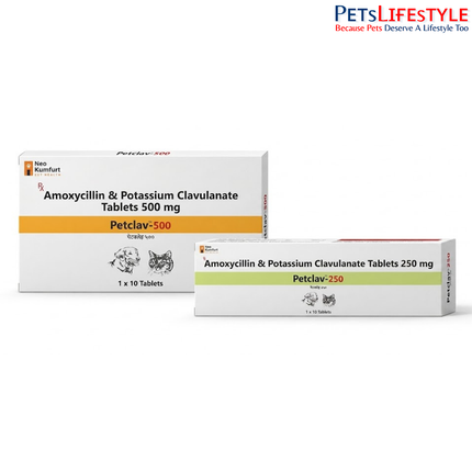 Neo Kumfurt PetClav – Amoxicillin & Clavulanate Potassium Veterinary Antibiotic Tablets for Dogs & Cats