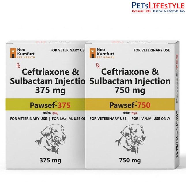 Neo Kumfurt Pawsef – Ceftriaxone Sodium & Sulbactam Injectable Antibiotic for Dogs & Cats