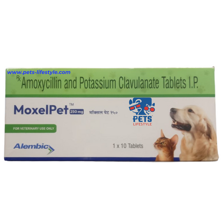 Alembic MoxelPet (1x10 tablet)