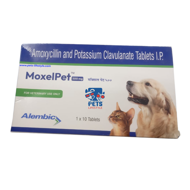 Alembic MoxelPet (1x10 tablet)