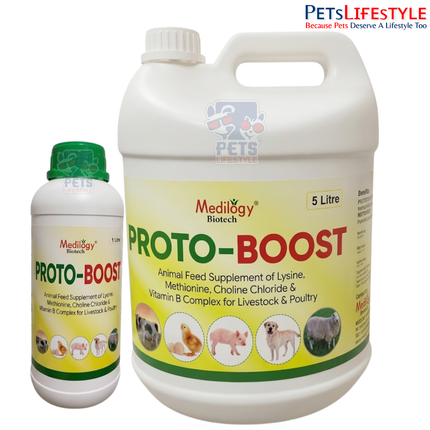 PROTOBOOST – Lysine, Methionine, Choline Chloride & Vitamin B-Complex Feed Supplement for Livestock & Poultry | Supports Growth, Liver Health, Protein Synthesis & Production