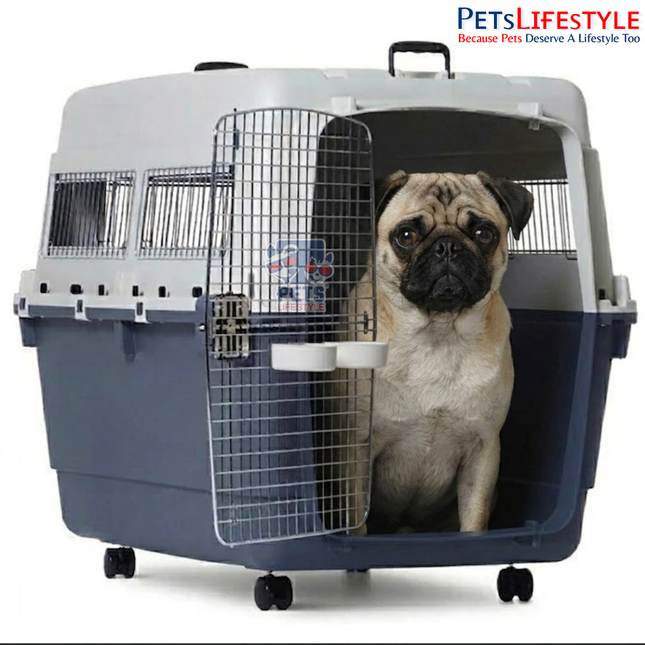 Canine Desk Flight Carrier (22.44 × 14.57 × 13.19 inches) IATA Approved Airline Travel Crate for Dogs (Medium)