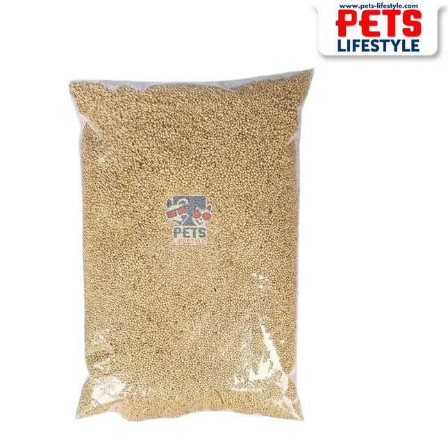 PETSLIFESTYLE Millet for Birds 1kg | Kangni Seed Bird Food for Budgies, Canaries & Finches